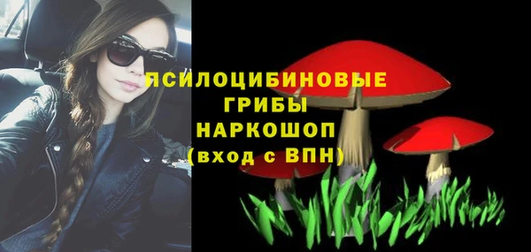 ГАЛЛЮЦИНОГЕННЫЕ ГРИБЫ Беломорск