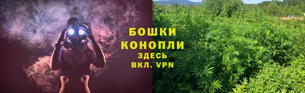 ГАЛЛЮЦИНОГЕННЫЕ ГРИБЫ Беломорск